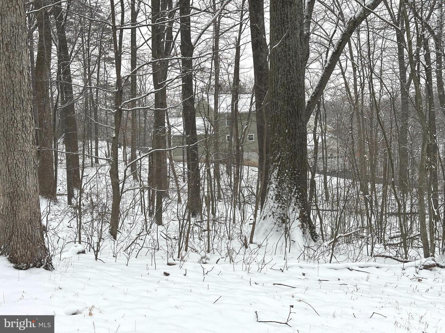 LOT 68 KILLBUCK TRL, WINCHESTER, Virginia 22602, ,Land,For sale,LOT 68 KILLBUCK TRL,VAFV2039848 MLS # VAFV2039848 LOT 68 KILLBUCK TRL, WINCHESTER, Virginia 22602, ,Land,For sale,LOT 68 KILLBUCK TRL,VAFV2039848 MLS # VAFV2039848