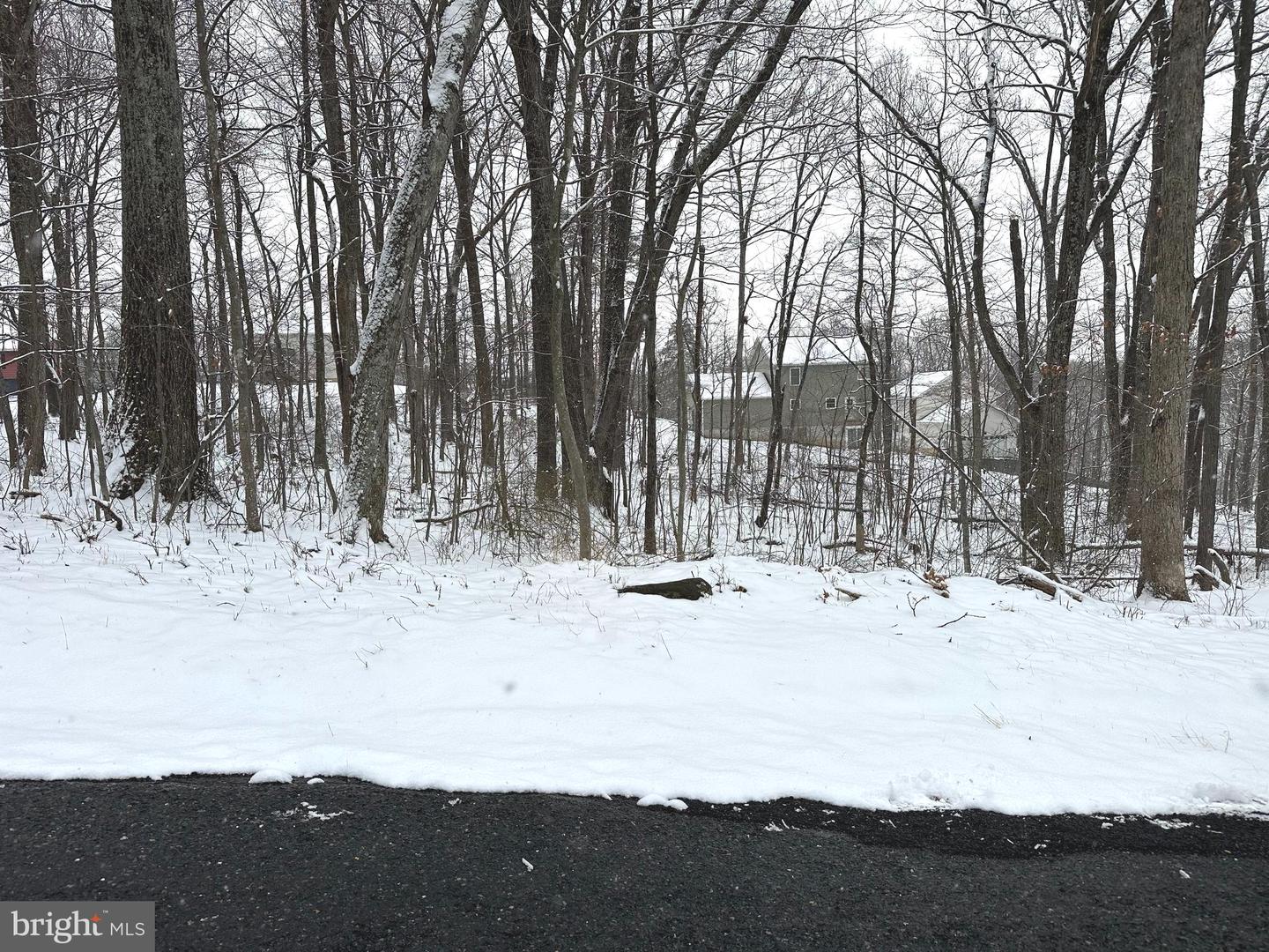 LOT 68 KILLBUCK TRL, WINCHESTER, Virginia 22602, ,Land,For sale,LOT 68 KILLBUCK TRL,VAFV2039848 MLS # VAFV2039848 LOT 68 KILLBUCK TRL, WINCHESTER, Virginia 22602, ,Land,For sale,LOT 68 KILLBUCK TRL,VAFV2039848 MLS # VAFV2039848