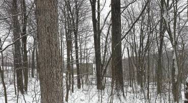 LOT 68 KILLBUCK TRL, WINCHESTER, Virginia 22602, ,Land,For sale,LOT 68 KILLBUCK TRL,VAFV2039848 MLS # VAFV2039848