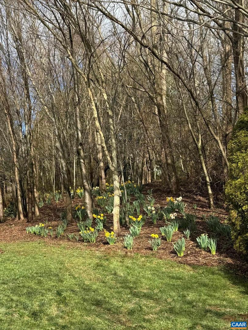 TBD EDMOND DR #16D, CROZET, Virginia 22932, ,Land,For sale,TBD EDMOND DR #16D,673841 MLS # 673841