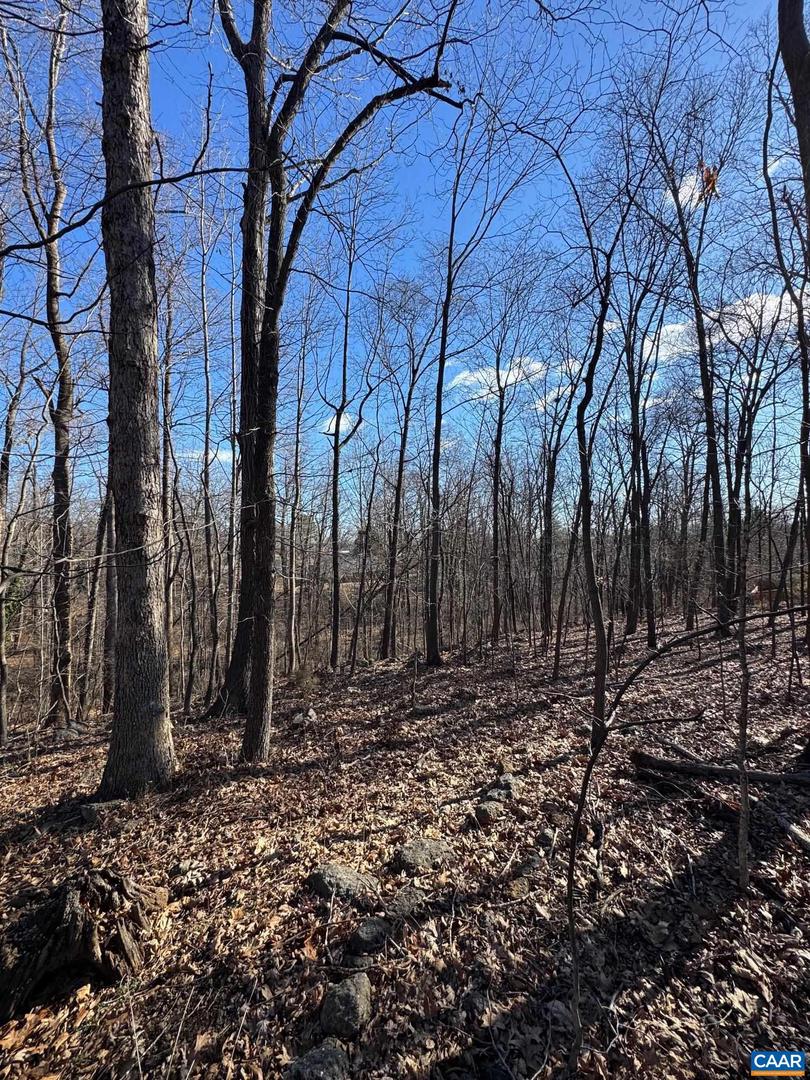 TBD EDMOND DR #16D, CROZET, Virginia 22932, ,Land,For sale,TBD EDMOND DR #16D,673841 MLS # 673841