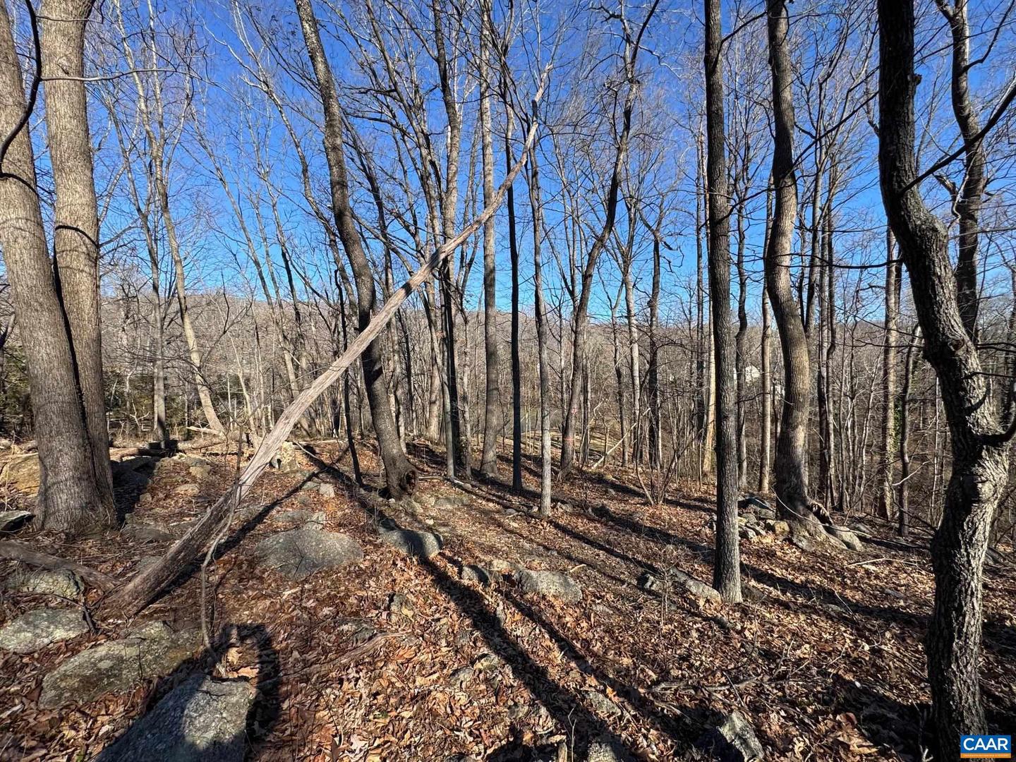 TBD EDMOND DR #16D, CROZET, Virginia 22932, ,Land,For sale,TBD EDMOND DR #16D,673841 MLS # 673841