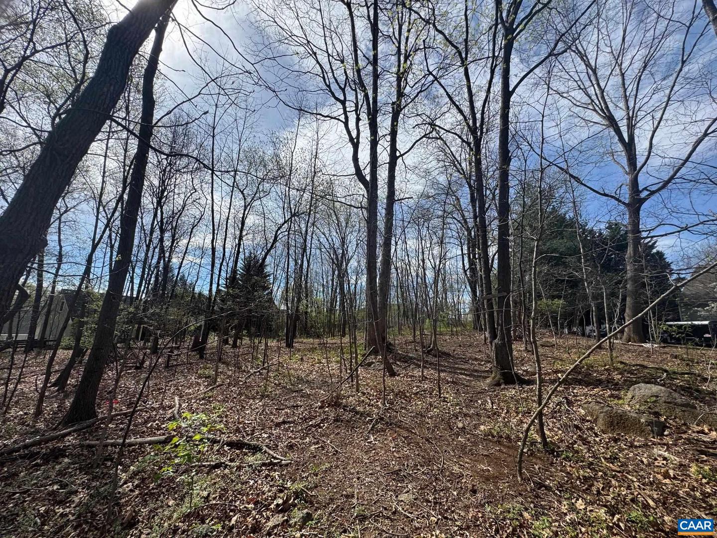 TBD EDMOND DR #16D, CROZET, Virginia 22932, ,Land,For sale,TBD EDMOND DR #16D,673841 MLS # 673841