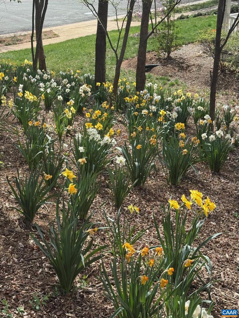 TBD EDMOND DR #16D, CROZET, Virginia 22932, ,Land,For sale,TBD EDMOND DR #16D,673841 MLS # 673841