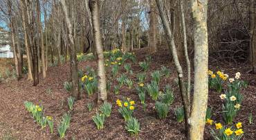 TBD EDMOND DR #16D, CROZET, Virginia 22932, ,Land,For sale,TBD EDMOND DR #16D,673841 MLS # 673841