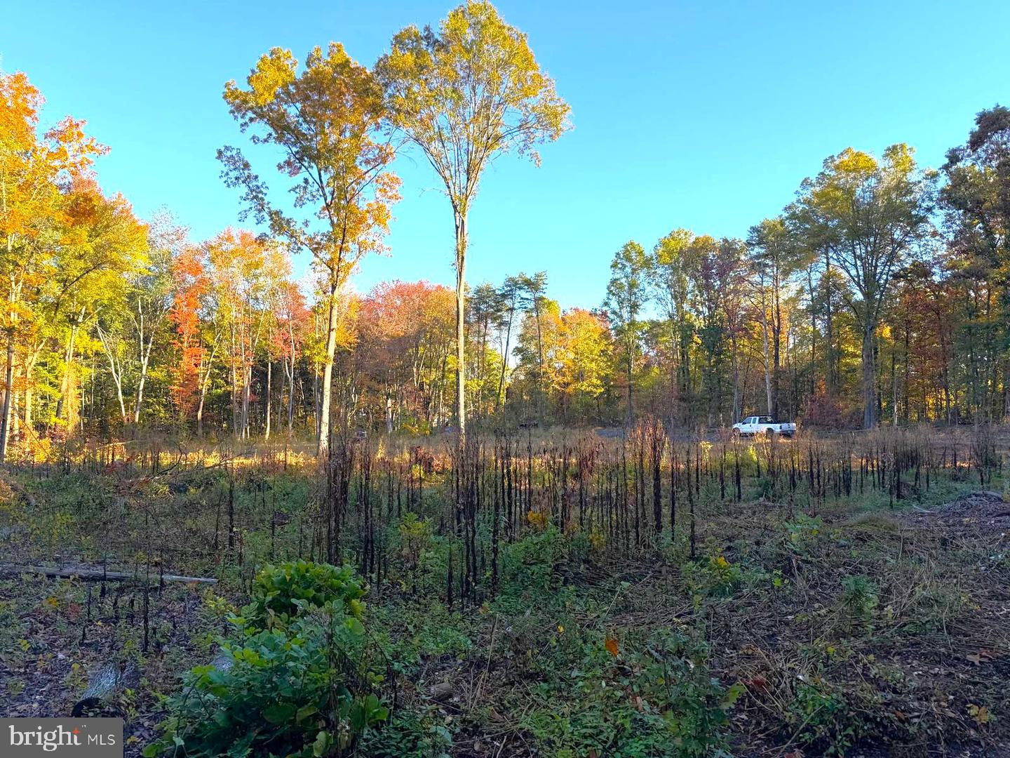 16120 BRANDY RD, CULPEPER, Virginia 22701, ,Land,For sale,16120 BRANDY RD,VACU2012802 MLS # VACU2012802