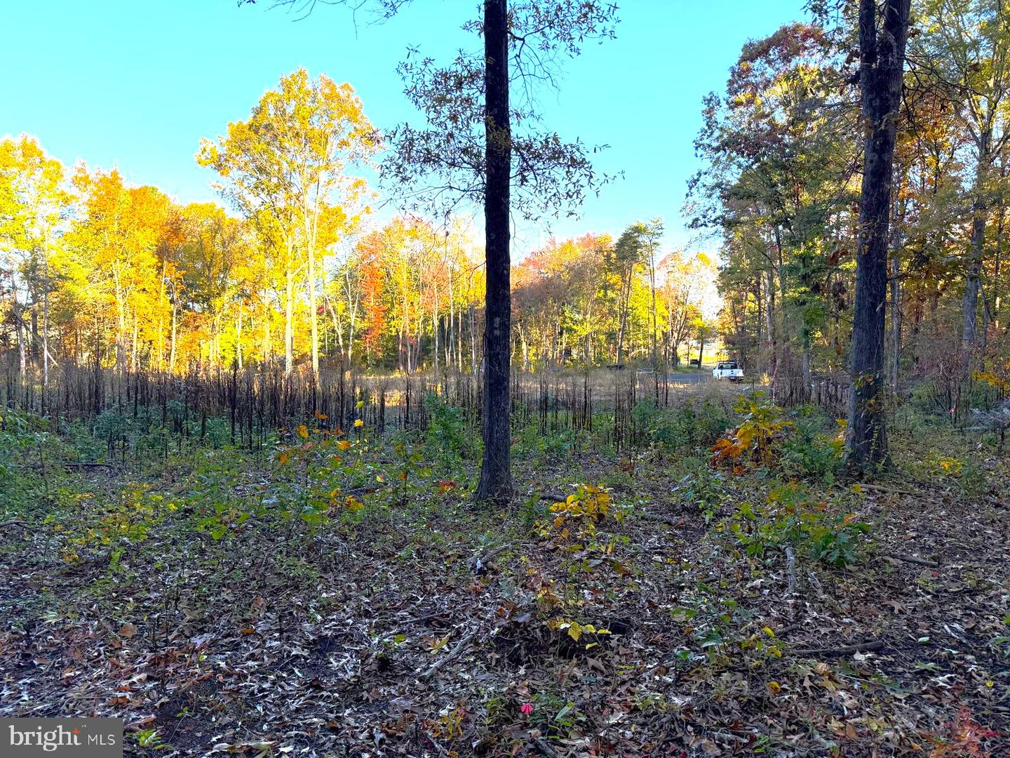 16120 BRANDY RD, CULPEPER, Virginia 22701, ,Land,For sale,16120 BRANDY RD,VACU2012802 MLS # VACU2012802