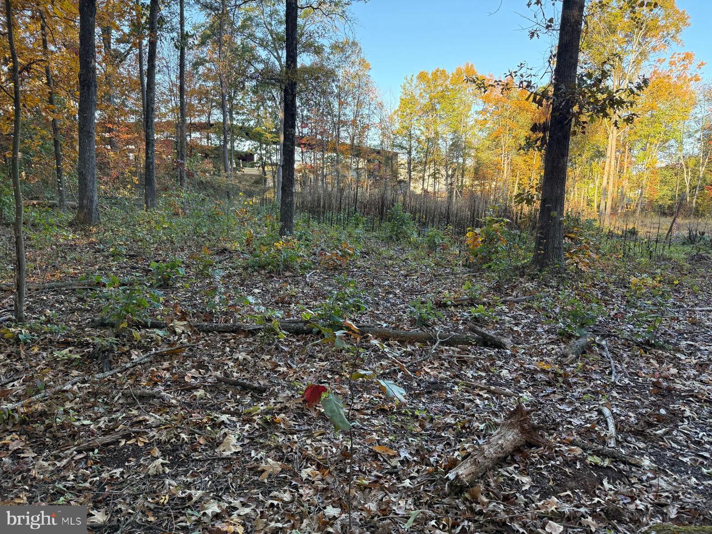 16120 BRANDY RD, CULPEPER, Virginia 22701, ,Land,For sale,16120 BRANDY RD,VACU2012802 MLS # VACU2012802