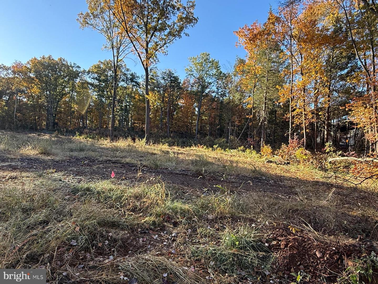 16120 BRANDY RD, CULPEPER, Virginia 22701, ,Land,For sale,16120 BRANDY RD,VACU2012802 MLS # VACU2012802