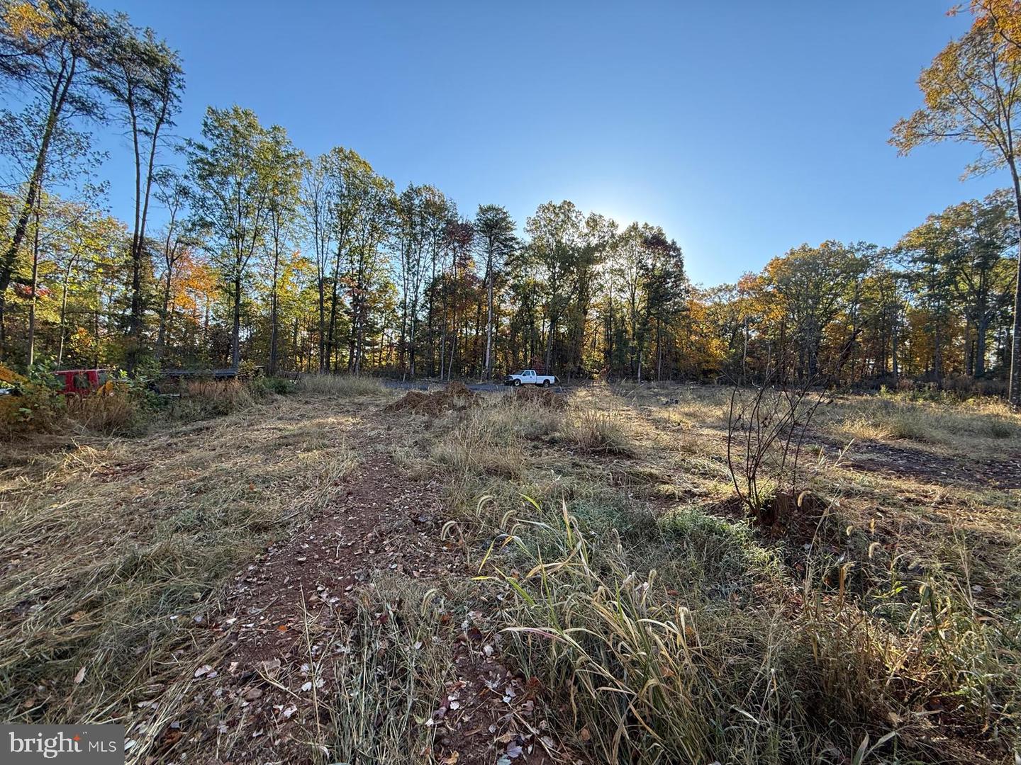 16120 BRANDY RD, CULPEPER, Virginia 22701, ,Land,For sale,16120 BRANDY RD,VACU2012802 MLS # VACU2012802