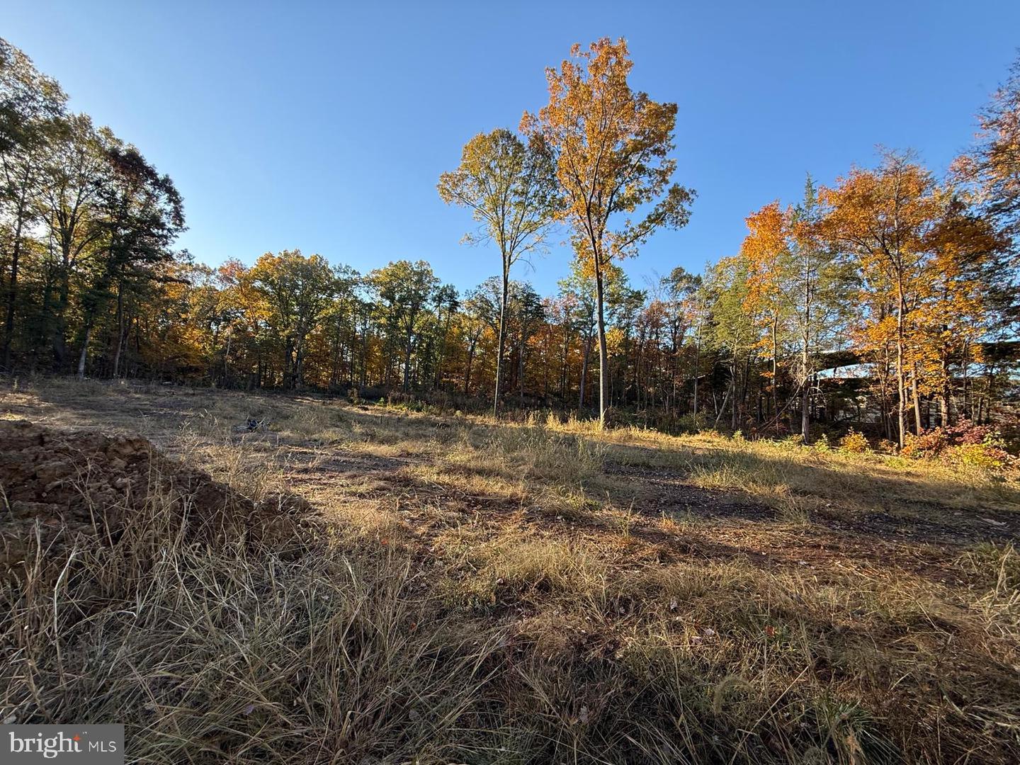 16120 BRANDY RD, CULPEPER, Virginia 22701, ,Land,For sale,16120 BRANDY RD,VACU2012802 MLS # VACU2012802