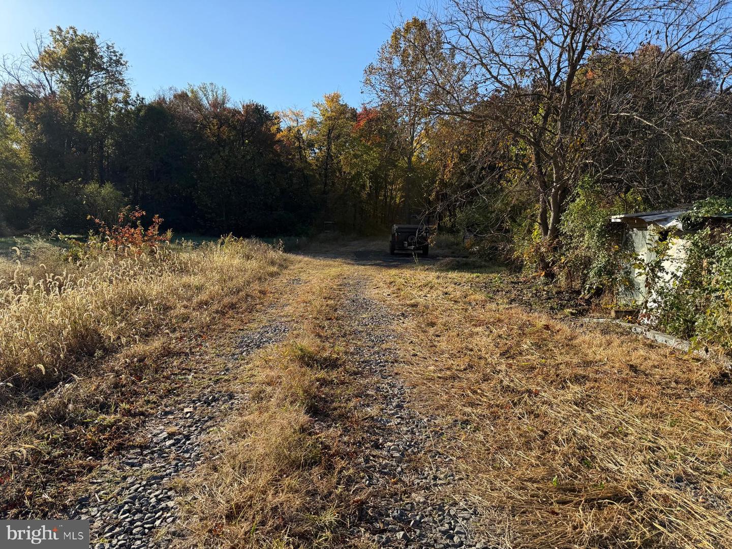 16120 BRANDY RD, CULPEPER, Virginia 22701, ,Land,For sale,16120 BRANDY RD,VACU2012802 MLS # VACU2012802