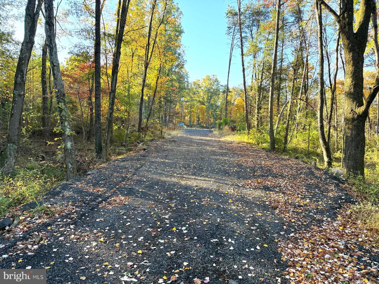 16120 BRANDY RD, CULPEPER, Virginia 22701, ,Land,For sale,16120 BRANDY RD,VACU2012802 MLS # VACU2012802