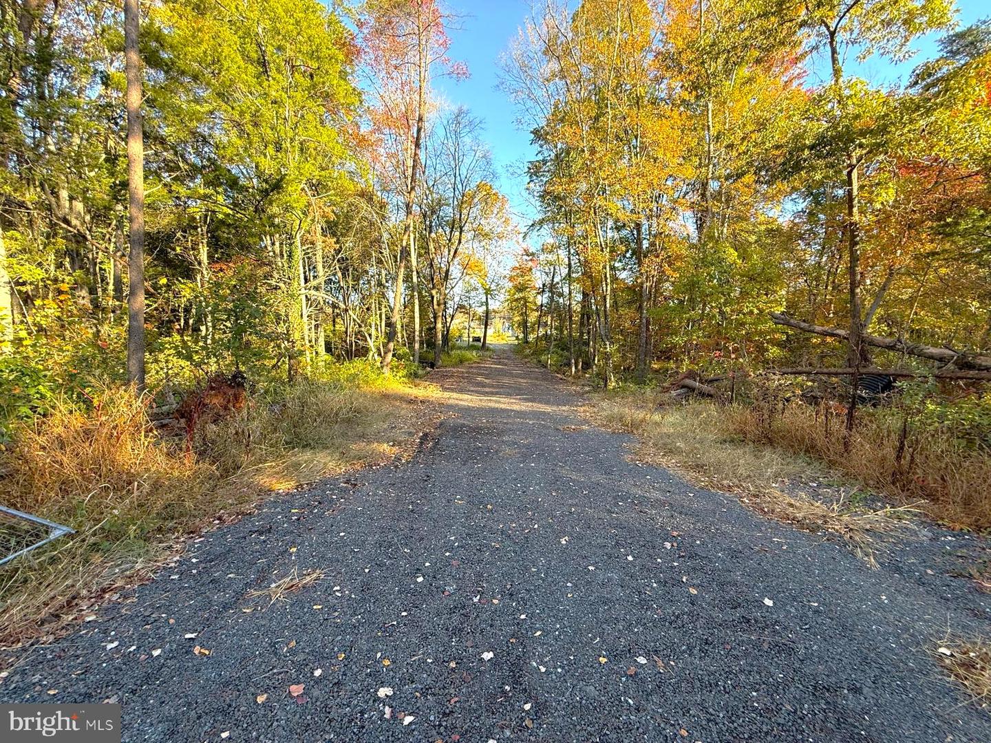 16120 BRANDY RD, CULPEPER, Virginia 22701, ,Land,For sale,16120 BRANDY RD,VACU2012802 MLS # VACU2012802