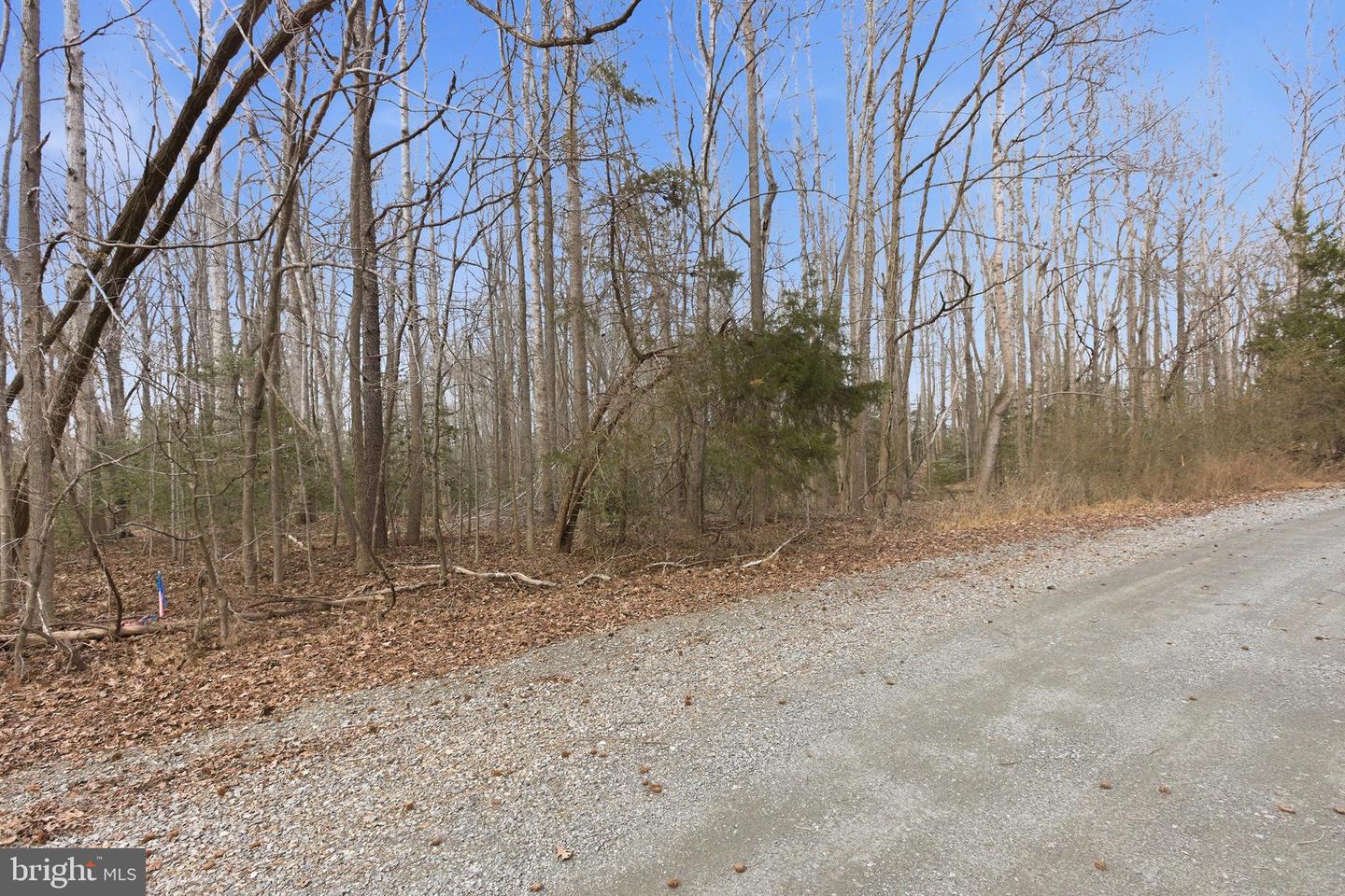 LOT 18 OLD PROSPECT LANDING RD, MONTROSS, Virginia 22520, ,Land,For sale,LOT 18 OLD PROSPECT LANDING RD,VAWE2010582 MLS # VAWE2010582