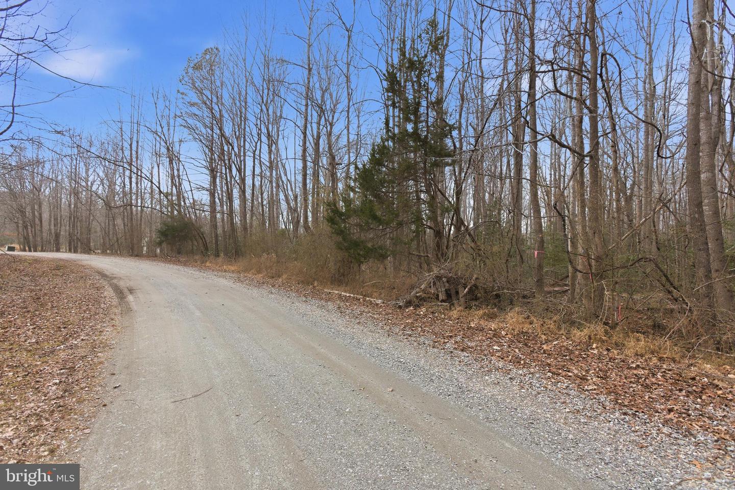 LOT 18 OLD PROSPECT LANDING RD, MONTROSS, Virginia 22520, ,Land,For sale,LOT 18 OLD PROSPECT LANDING RD,VAWE2010582 MLS # VAWE2010582