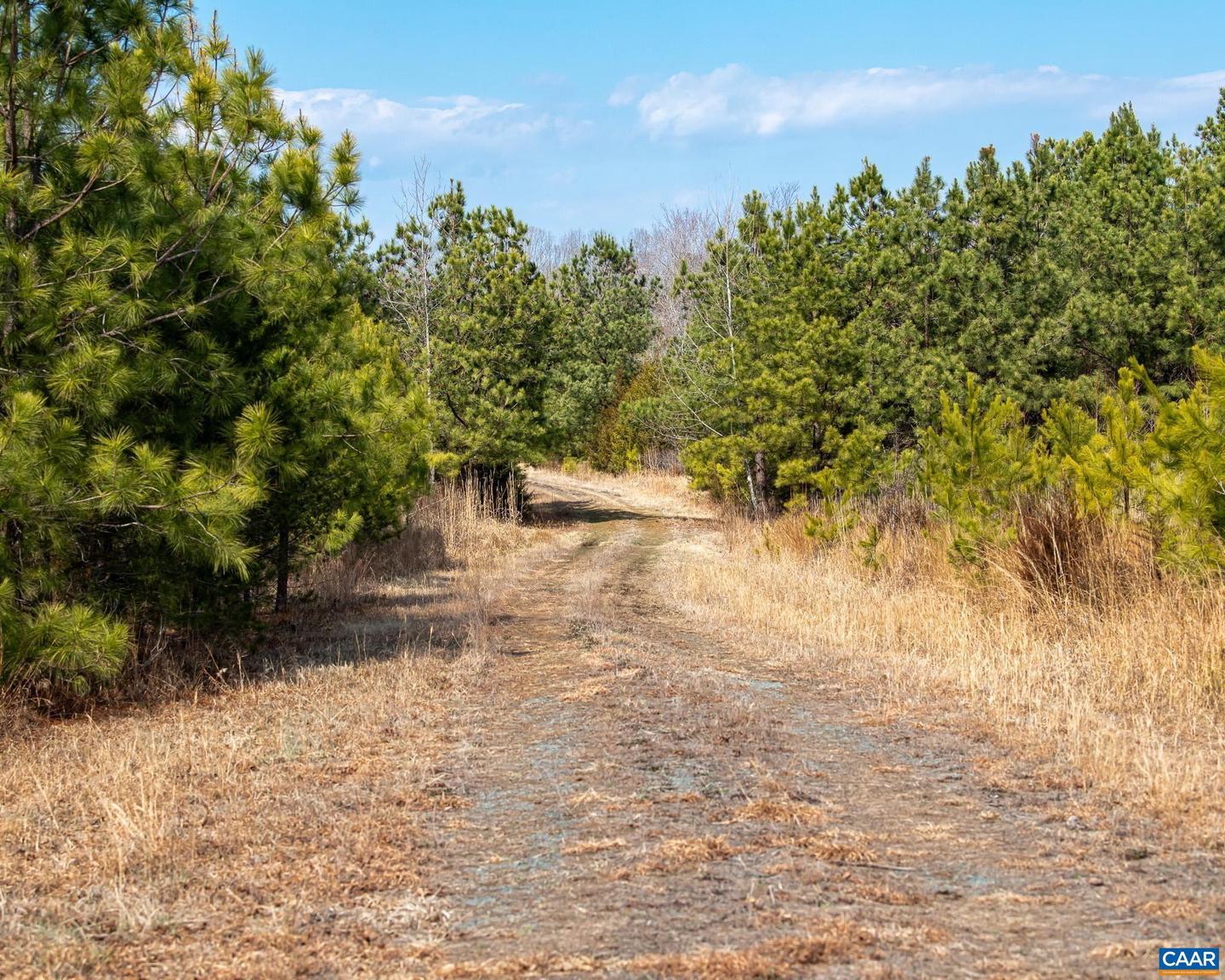 0 CENTRAL PLAINS RD, PALMYRA, Virginia 22963, ,Land,For sale,0 CENTRAL PLAINS RD,673851 MLS # 673851