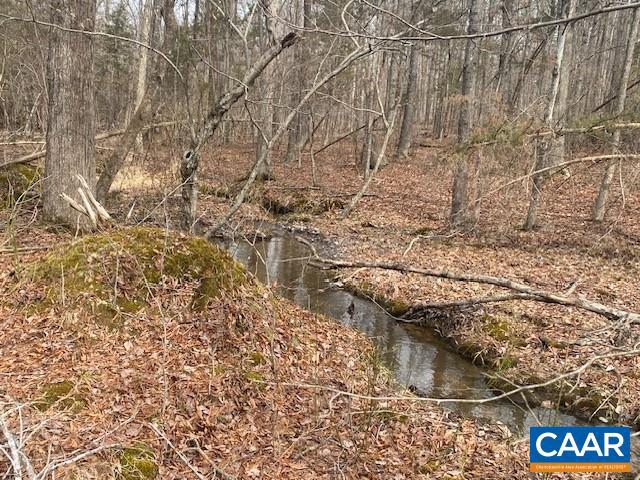 0 CENTRAL PLAINS RD, PALMYRA, Virginia 22963, ,Land,For sale,0 CENTRAL PLAINS RD,673851 MLS # 673851