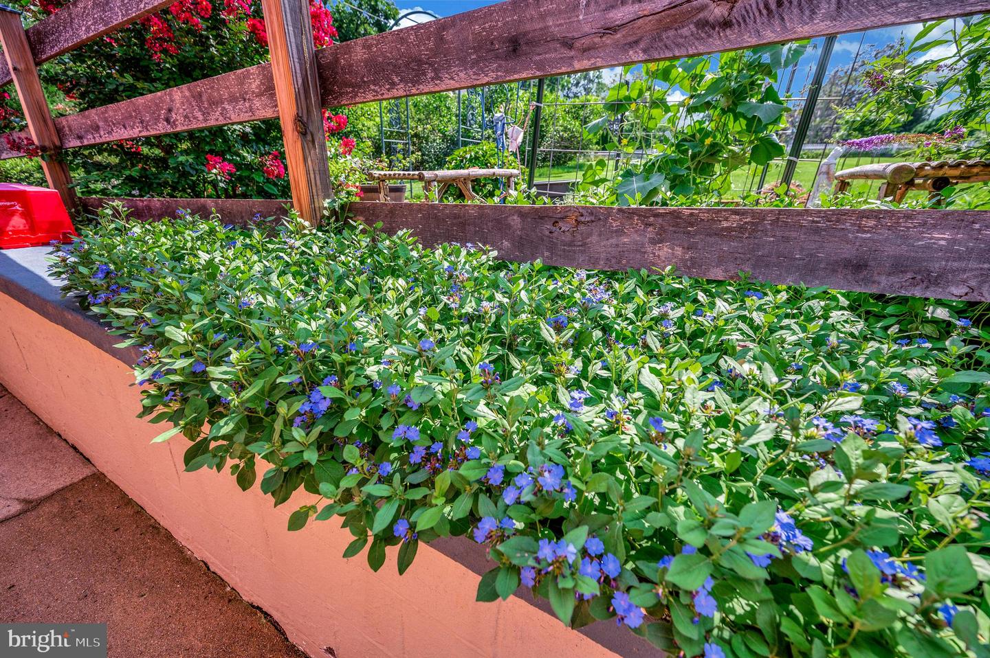 503 MACOY AVE, CULPEPER, Virginia 22701, 4 Bedrooms Bedrooms, ,2 BathroomsBathrooms,Residential,For sale,503 MACOY AVE,VACU2012784 MLS # VACU2012784 503 MACOY AVE, CULPEPER, Virginia 22701, 4 Bedrooms Bedrooms, ,2 BathroomsBathrooms,Residential,For sale,503 MACOY AVE,VACU2012784 MLS # VACU2012784