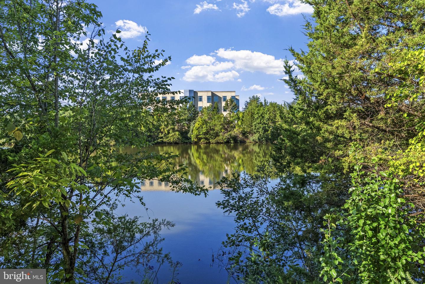 46165 WESTLAKE DR #230, STERLING, Virginia 20165, ,Land,For sale,46165 WESTLAKE DR #230,VALO2116964 MLS # VALO2116964