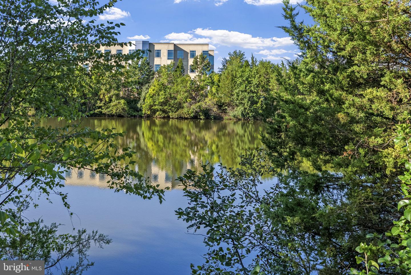 46165 WESTLAKE DR #230, STERLING, Virginia 20165, ,Land,For sale,46165 WESTLAKE DR #230,VALO2116964 MLS # VALO2116964