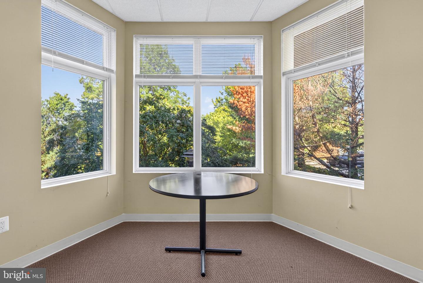 46165 WESTLAKE DR #230, STERLING, Virginia 20165, ,Land,For sale,46165 WESTLAKE DR #230,VALO2116964 MLS # VALO2116964