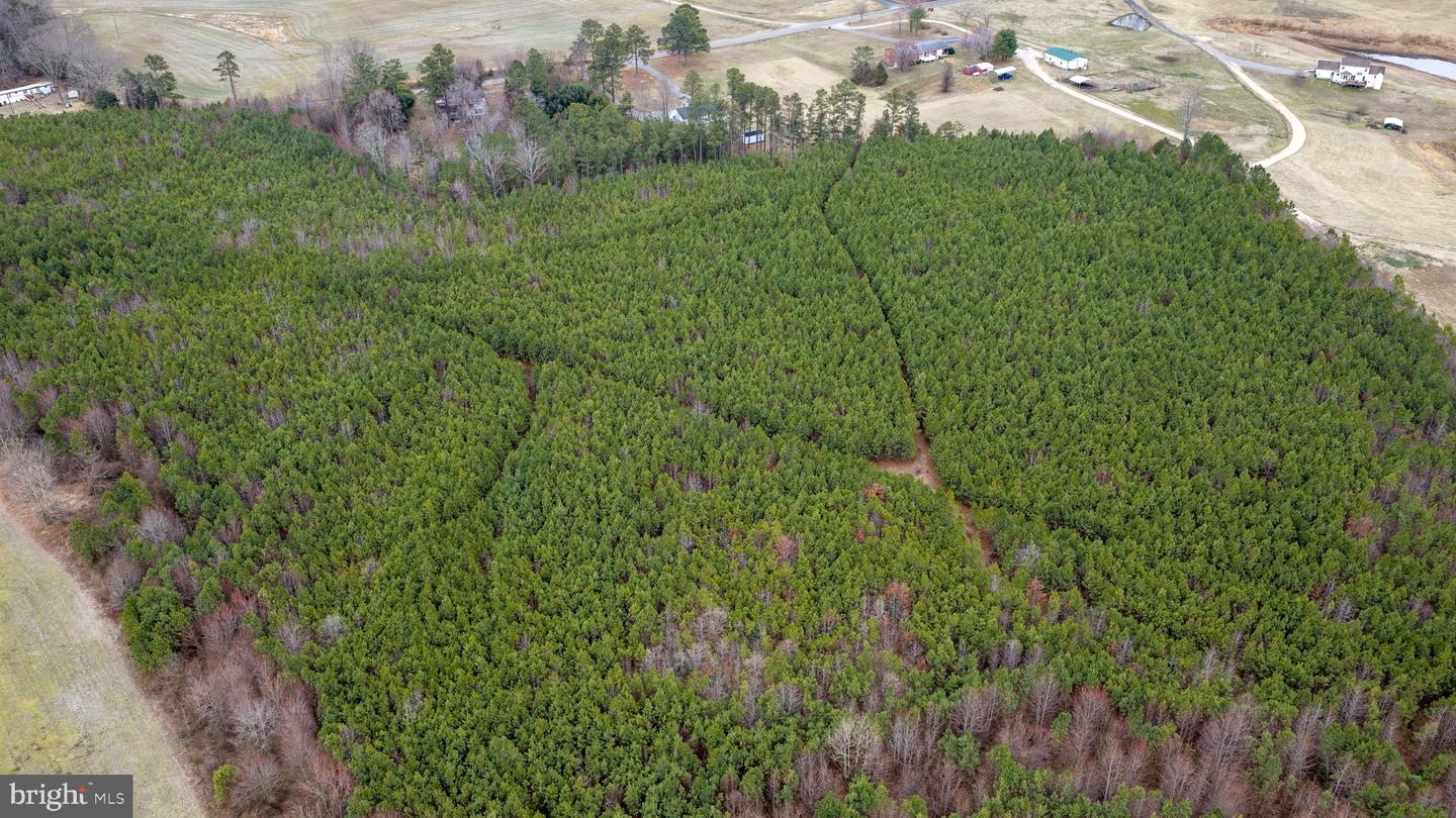 SPARTA, MILFORD, Virginia 22514, ,Land,For sale,SPARTA,VACV2009594 MLS # VACV2009594
