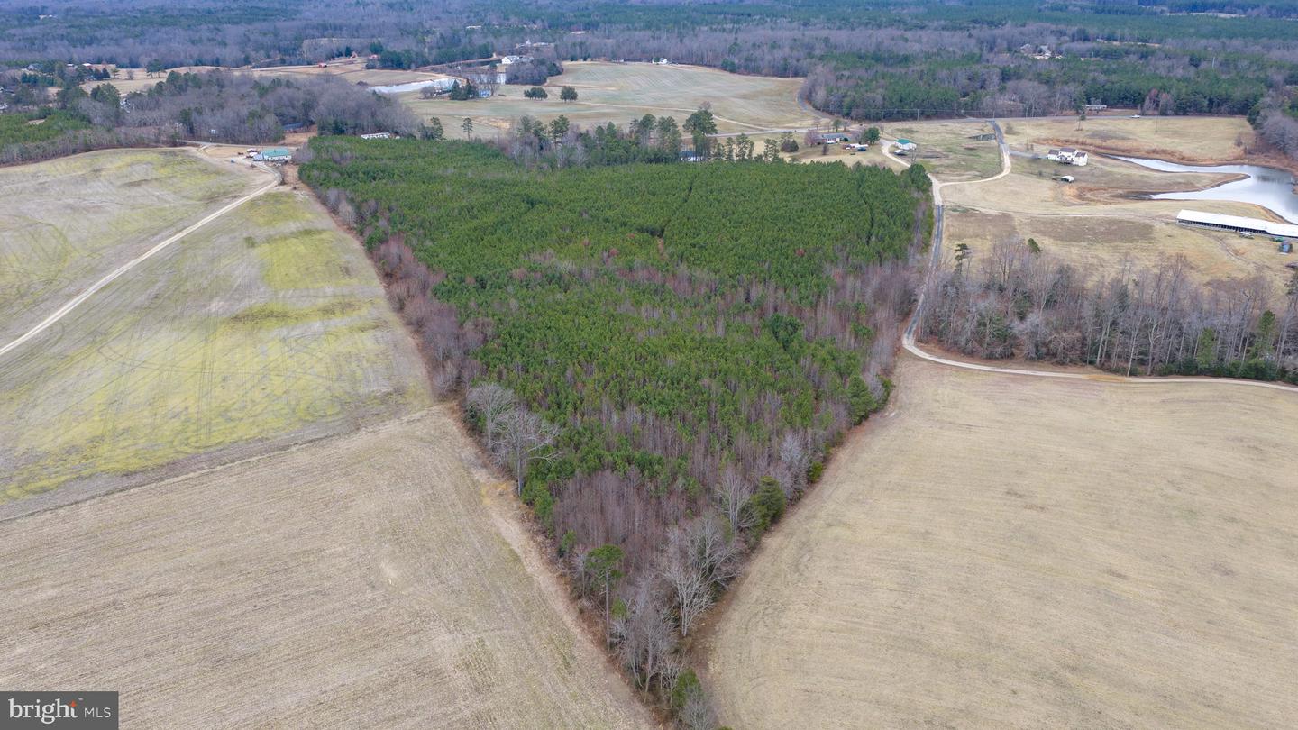 SPARTA, MILFORD, Virginia 22514, ,Land,For sale,SPARTA,VACV2009594 MLS # VACV2009594