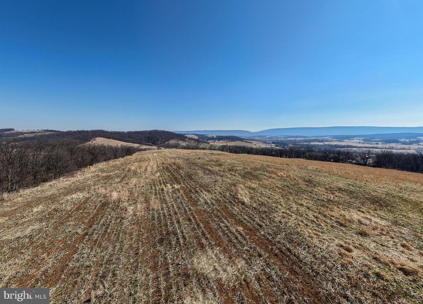 NEIGHBORS LANE, TIMBERVILLE, Virginia 22853, ,Land,For sale,NEIGHBORS LANE,VARO2002872 MLS # VARO2002872