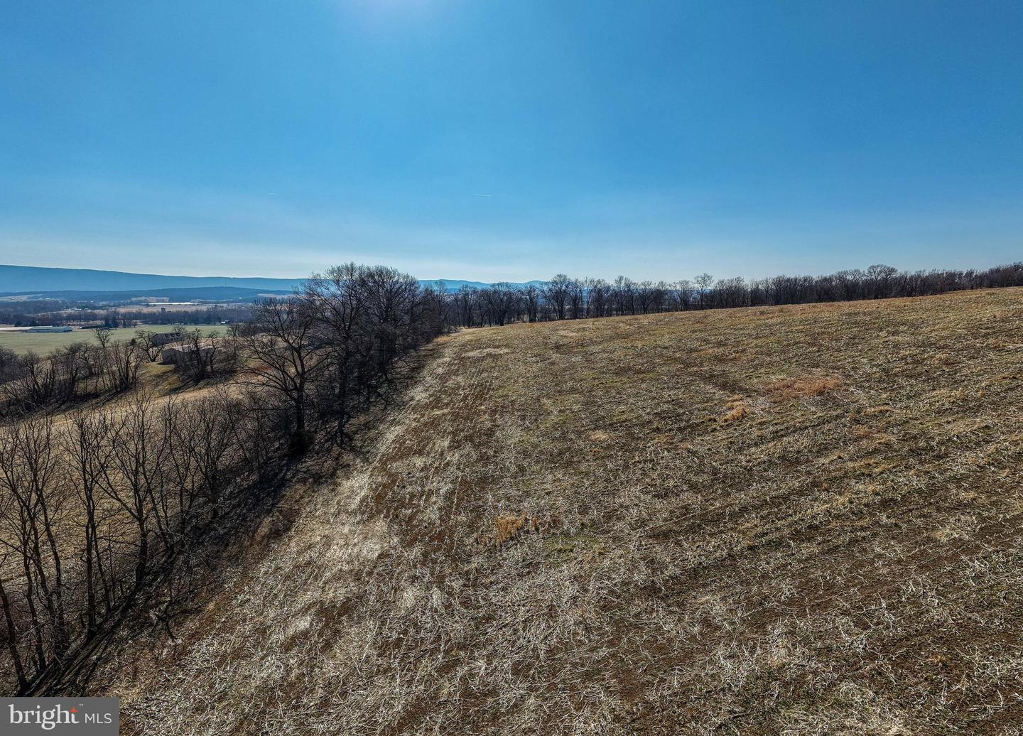 NEIGHBORS LANE, TIMBERVILLE, Virginia 22853, ,Land,For sale,NEIGHBORS LANE,VARO2002872 MLS # VARO2002872