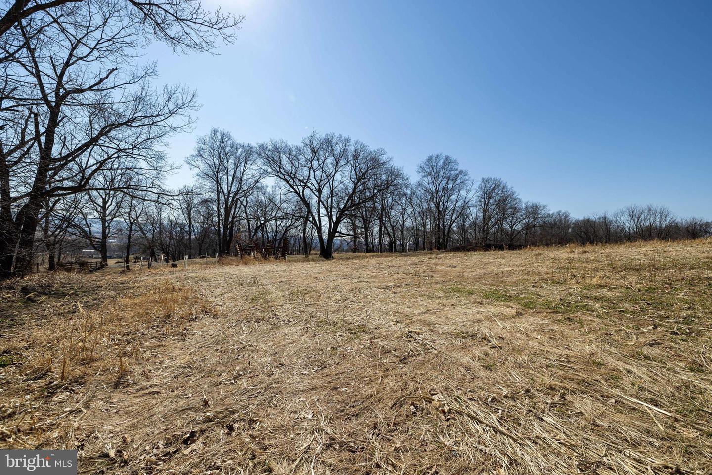 NEIGHBORS LANE, TIMBERVILLE, Virginia 22853, ,Land,For sale,NEIGHBORS LANE,VARO2002872 MLS # VARO2002872