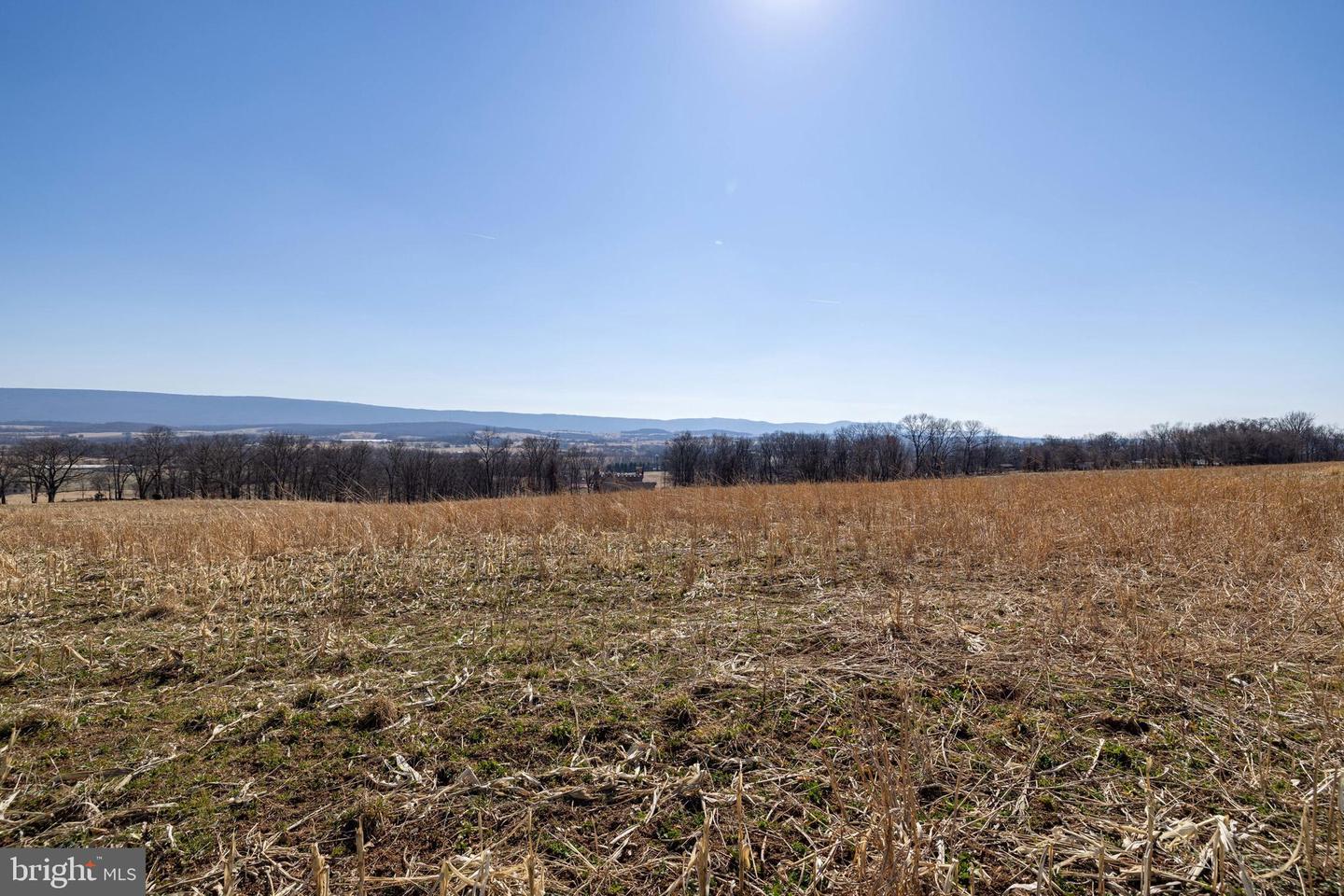 NEIGHBORS LANE, TIMBERVILLE, Virginia 22853, ,Land,For sale,NEIGHBORS LANE,VARO2002872 MLS # VARO2002872