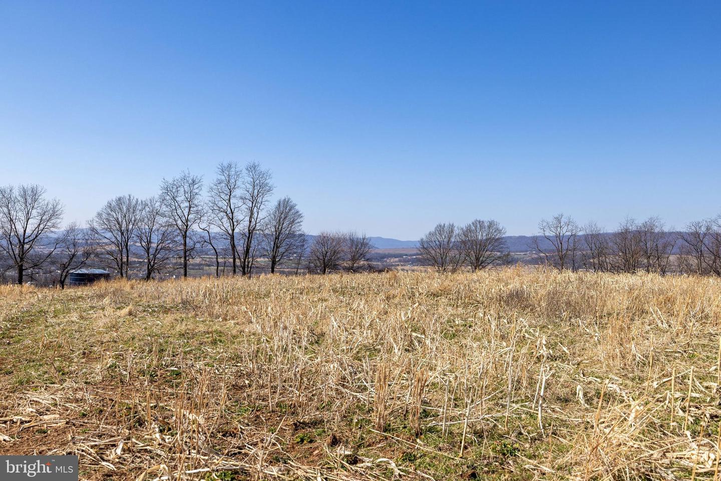 NEIGHBORS LANE, TIMBERVILLE, Virginia 22853, ,Land,For sale,NEIGHBORS LANE,VARO2002872 MLS # VARO2002872