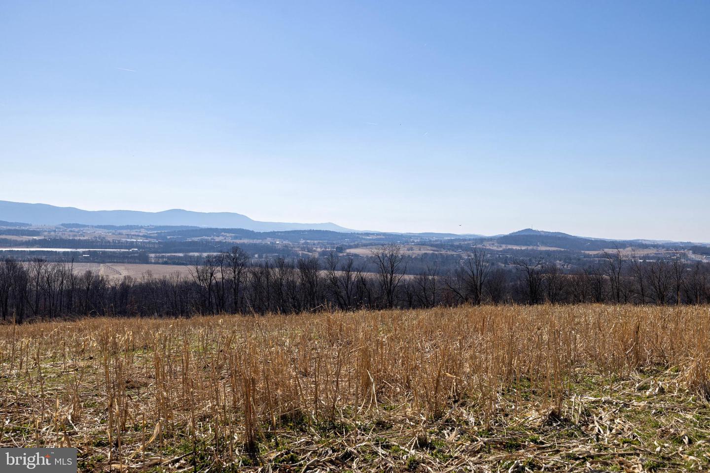 NEIGHBORS LANE, TIMBERVILLE, Virginia 22853, ,Land,For sale,NEIGHBORS LANE,VARO2002872 MLS # VARO2002872