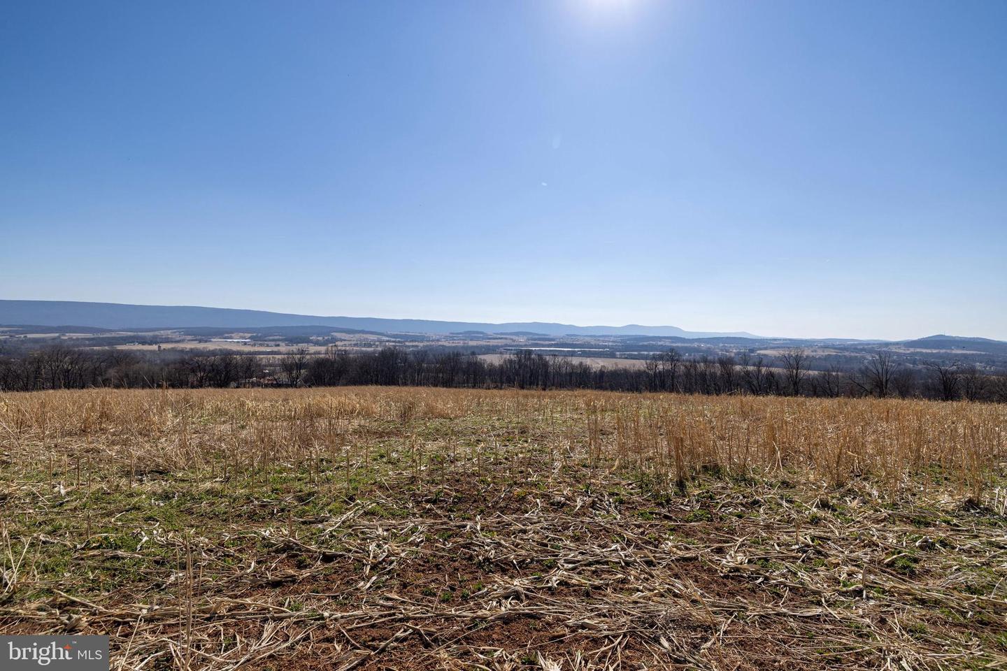 NEIGHBORS LANE, TIMBERVILLE, Virginia 22853, ,Land,For sale,NEIGHBORS LANE,VARO2002872 MLS # VARO2002872