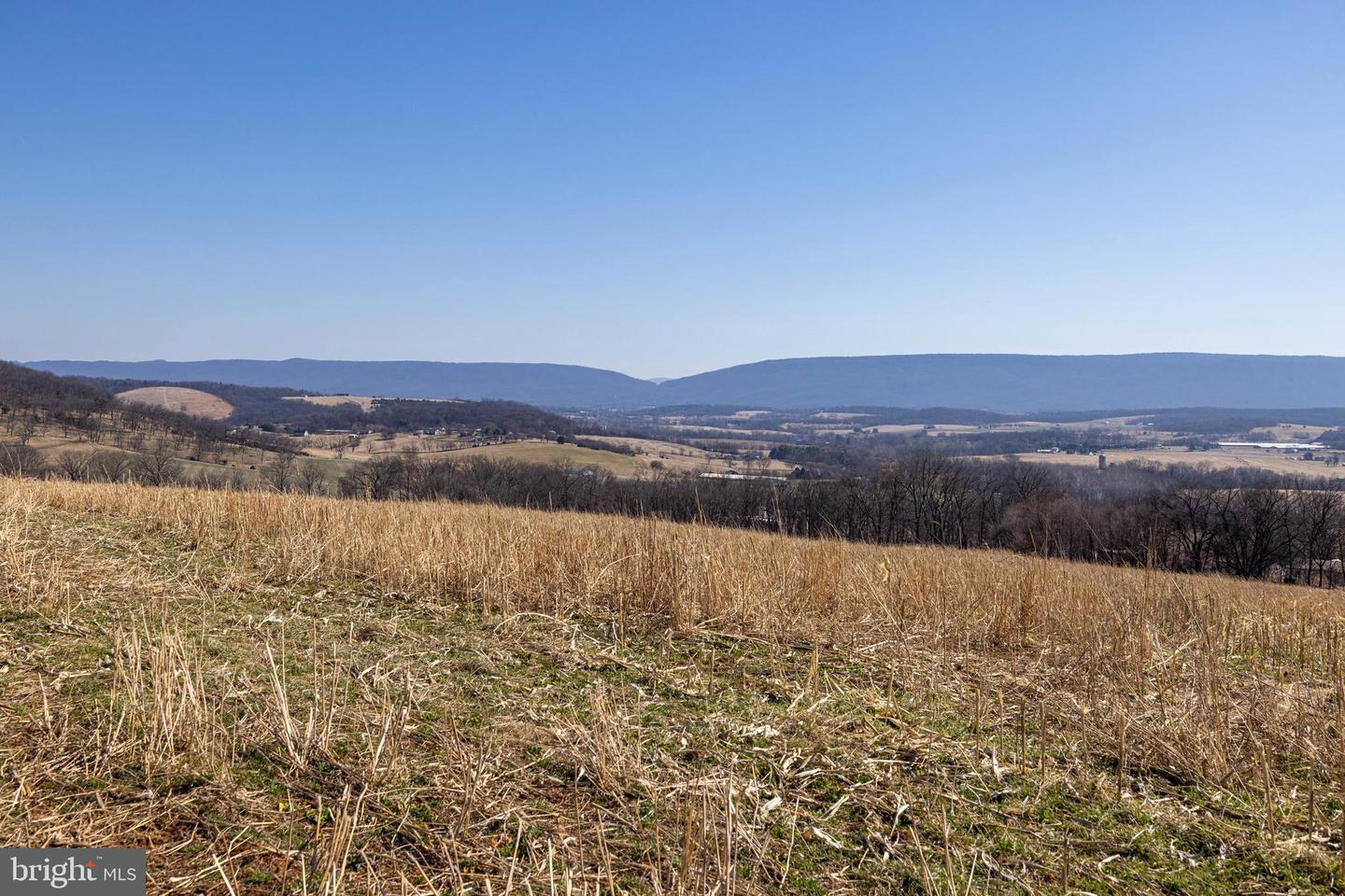 NEIGHBORS LANE, TIMBERVILLE, Virginia 22853, ,Land,For sale,NEIGHBORS LANE,VARO2002872 MLS # VARO2002872