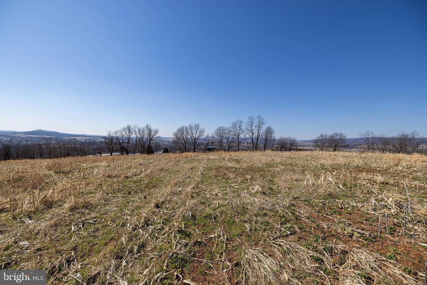 NEIGHBORS LANE, TIMBERVILLE, Virginia 22853, ,Land,For sale,NEIGHBORS LANE,VARO2002872 MLS # VARO2002872