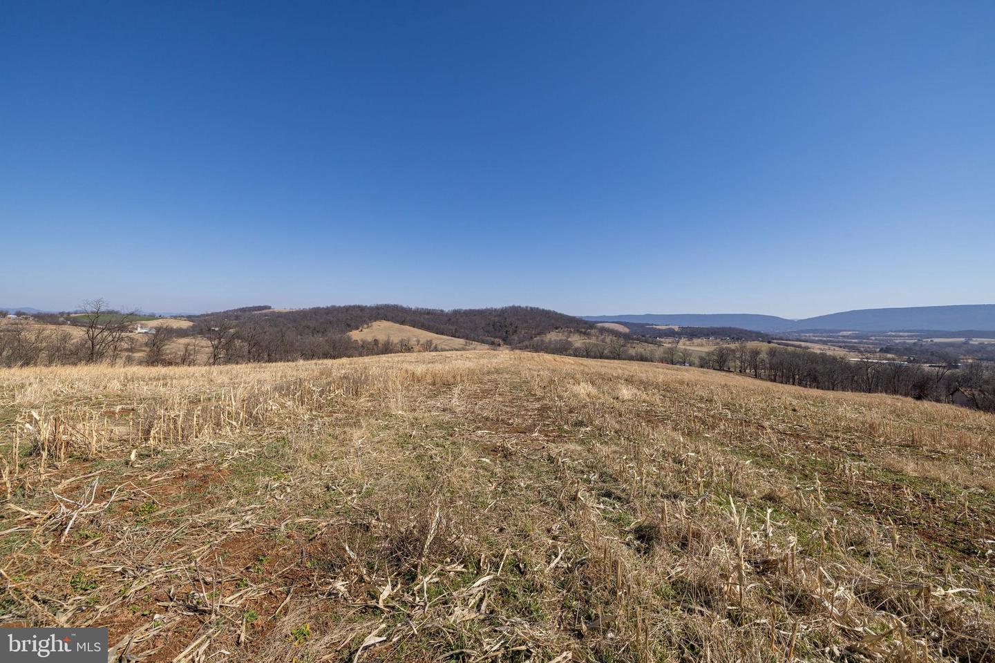 NEIGHBORS LANE, TIMBERVILLE, Virginia 22853, ,Land,For sale,NEIGHBORS LANE,VARO2002872 MLS # VARO2002872