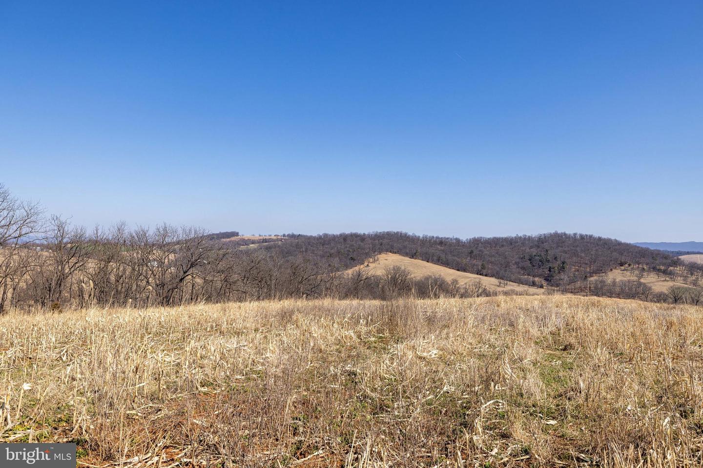 NEIGHBORS LANE, TIMBERVILLE, Virginia 22853, ,Land,For sale,NEIGHBORS LANE,VARO2002872 MLS # VARO2002872