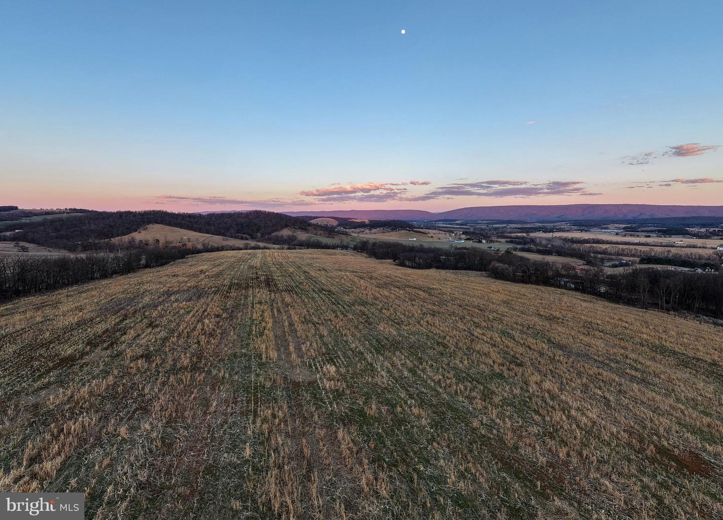 NEIGHBORS LANE, TIMBERVILLE, Virginia 22853, ,Land,For sale,NEIGHBORS LANE,VARO2002872 MLS # VARO2002872