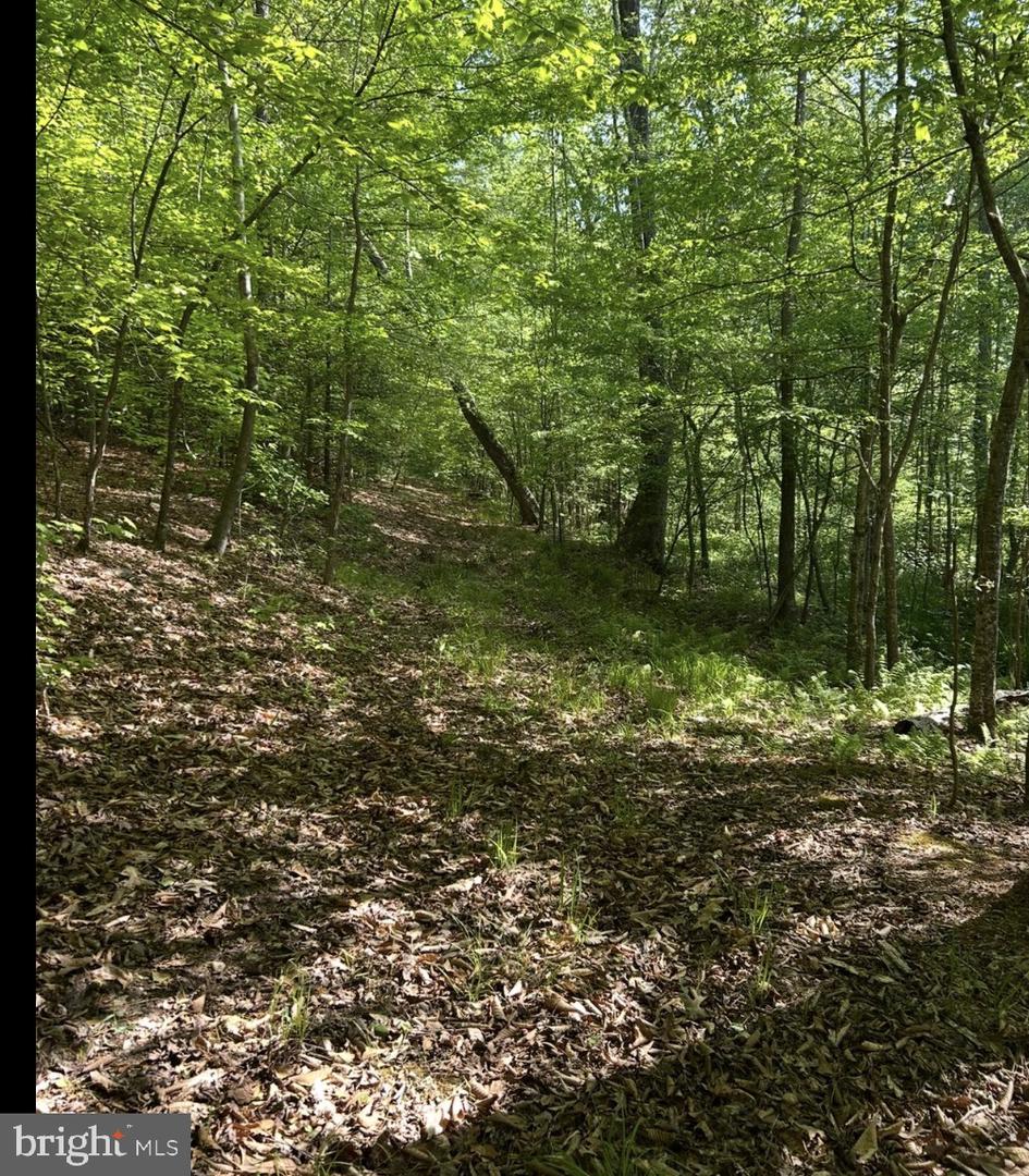 LOT 1 KING GEORGE MAP 35-3-1, KING GEORGE, Virginia 22485, ,Land,For sale,LOT 1 KING GEORGE MAP 35-3-1,VAKG2007692 MLS # VAKG2007692