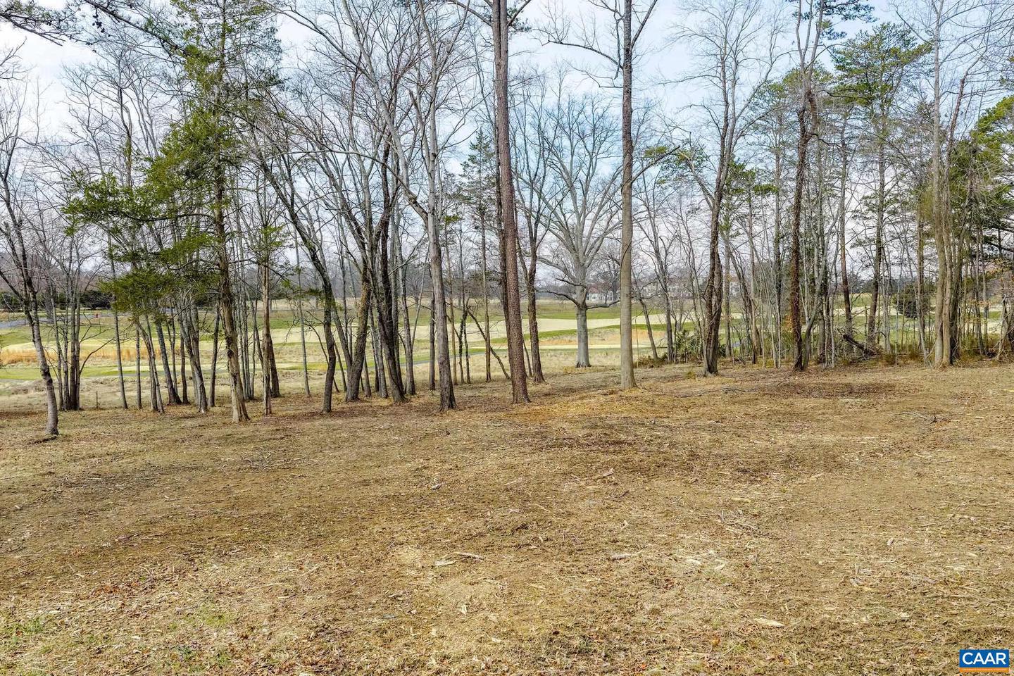 LOT 8 CLUB VIEW DR, KESWICK, Virginia 22947, ,Land,For sale,LOT 8 CLUB VIEW DR,673879 MLS # 673879