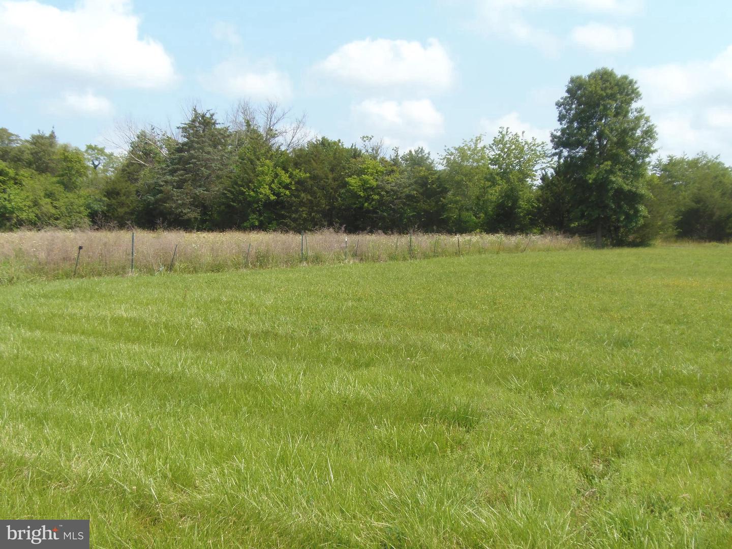 12058 MITCHELL RD, MITCHELLS, Virginia 22729, 3 Bedrooms Bedrooms, ,1 BathroomBathrooms,Residential,For sale,12058 MITCHELL RD,VACU2012310 MLS # VACU2012310