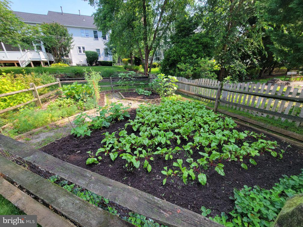 43331 RITTER LANE, SOUTH RIDING, Virginia 20152, 4 Bedrooms Bedrooms, ,3 BathroomsBathrooms,Residential,For sale,43331 RITTER LANE,VALO2115870 MLS # VALO2115870 43331 RITTER LANE, SOUTH RIDING, Virginia 20152, 4 Bedrooms Bedrooms, ,3 BathroomsBathrooms,Residential,For sale,43331 RITTER LANE,VALO2115870 MLS # VALO2115870