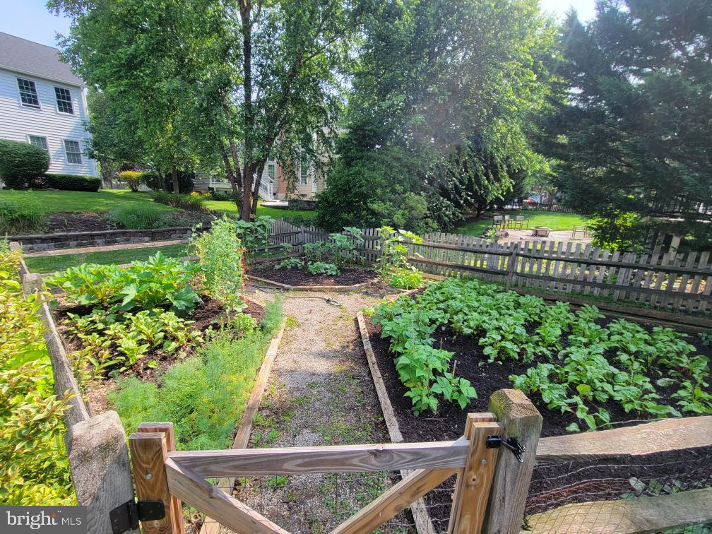 43331 RITTER LANE, SOUTH RIDING, Virginia 20152, 4 Bedrooms Bedrooms, ,3 BathroomsBathrooms,Residential,For sale,43331 RITTER LANE,VALO2115870 MLS # VALO2115870 43331 RITTER LANE, SOUTH RIDING, Virginia 20152, 4 Bedrooms Bedrooms, ,3 BathroomsBathrooms,Residential,For sale,43331 RITTER LANE,VALO2115870 MLS # VALO2115870