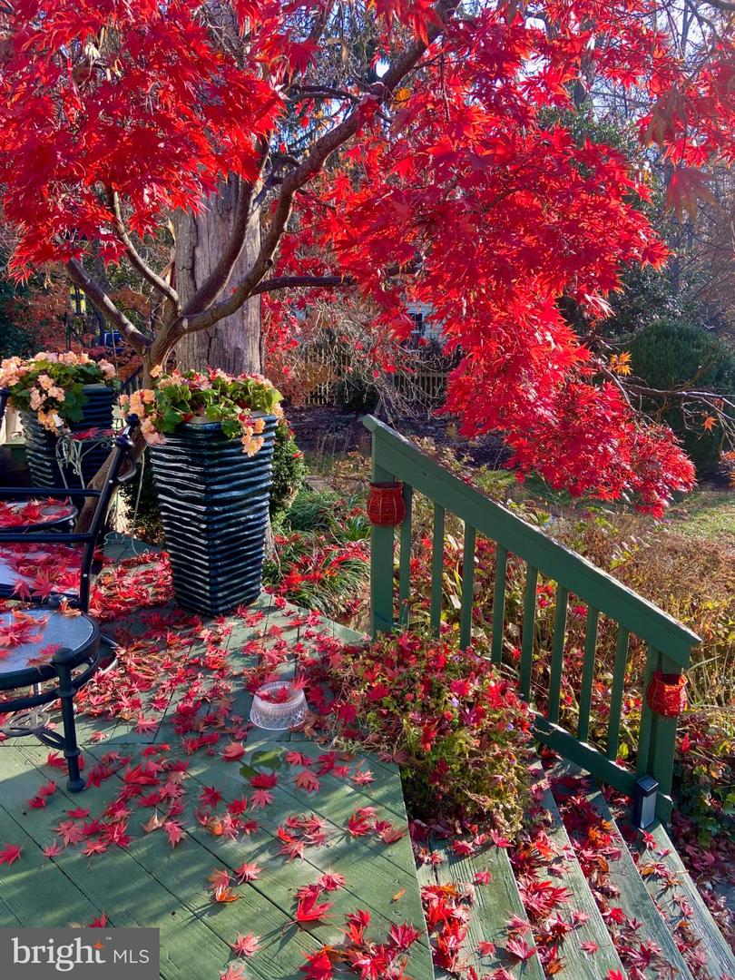 3705 RIVERWOOD CT, ALEXANDRIA, Virginia 22309, 4 Bedrooms Bedrooms, 15 Rooms Rooms,3 BathroomsBathrooms,Residential,For sale,3705 RIVERWOOD CT,VAFX2291850 MLS # VAFX2291850 3705 RIVERWOOD CT, ALEXANDRIA, Virginia 22309, 4 Bedrooms Bedrooms, 15 Rooms Rooms,3 BathroomsBathrooms,Residential,For sale,3705 RIVERWOOD CT,VAFX2291850 MLS # VAFX2291850