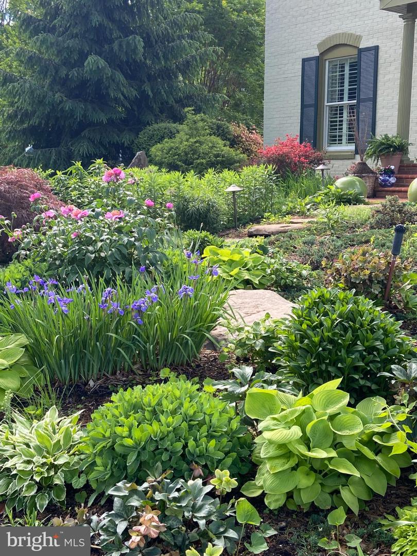 3705 RIVERWOOD CT, ALEXANDRIA, Virginia 22309, 4 Bedrooms Bedrooms, 15 Rooms Rooms,3 BathroomsBathrooms,Residential,For sale,3705 RIVERWOOD CT,VAFX2291850 MLS # VAFX2291850 3705 RIVERWOOD CT, ALEXANDRIA, Virginia 22309, 4 Bedrooms Bedrooms, 15 Rooms Rooms,3 BathroomsBathrooms,Residential,For sale,3705 RIVERWOOD CT,VAFX2291850 MLS # VAFX2291850