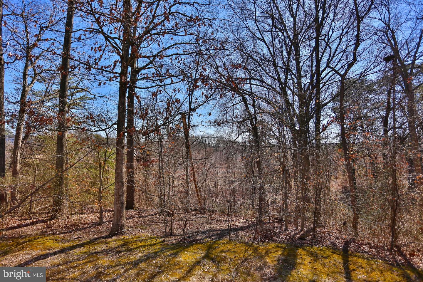 5837 NORHAM DR, ALEXANDRIA, Virginia 22315, 2 Bedrooms Bedrooms, ,2 BathroomsBathrooms,Residential,For sale,5837 NORHAM DR,VAFX2292136 MLS # VAFX2292136