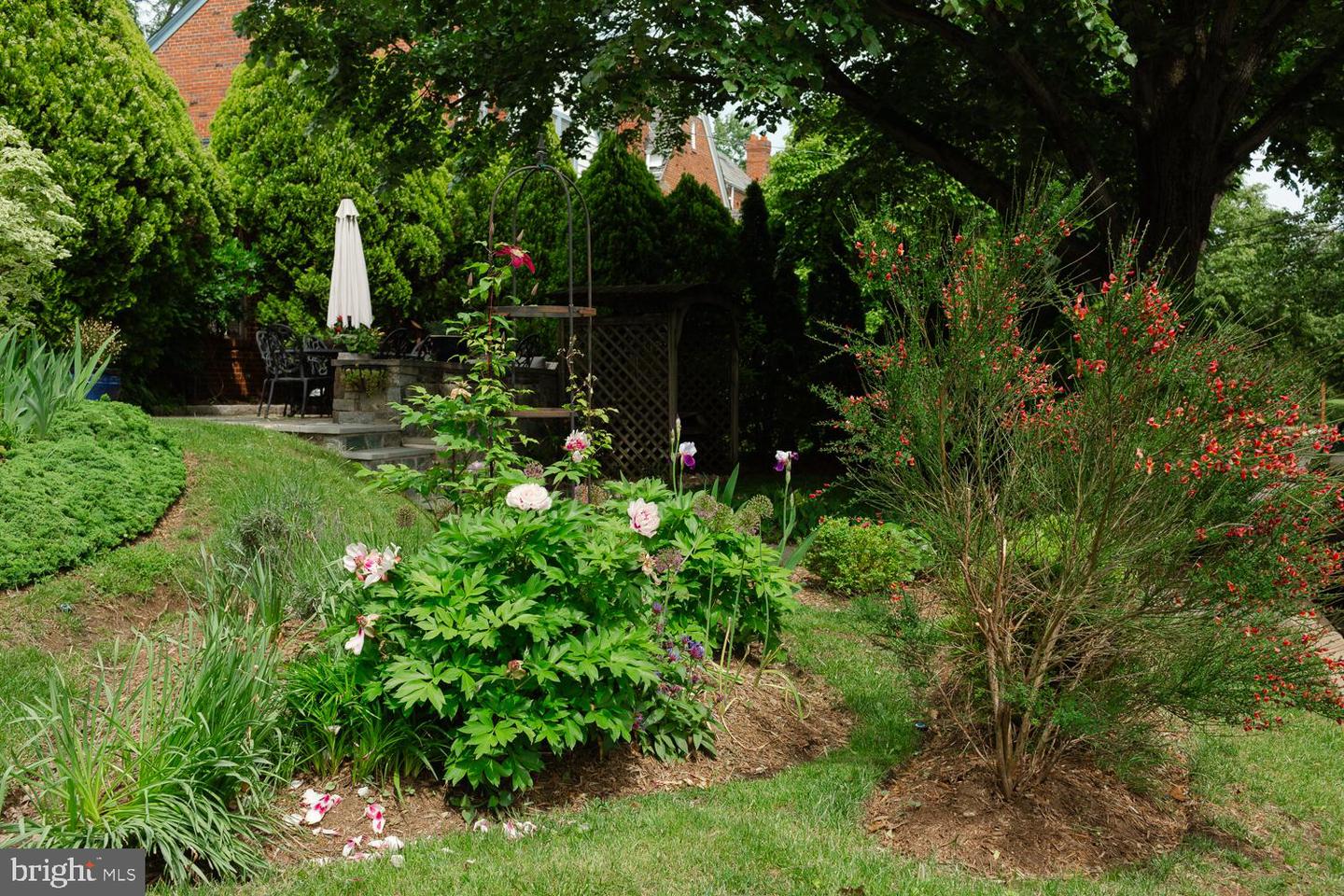 1755 UPSHUR ST NW, WASHINGTON, District Of Columbia 20011, 6 Bedrooms Bedrooms, ,4 BathroomsBathrooms,Residential,For sale,1755 UPSHUR ST NW,DCDC2247486 MLS # DCDC2247486