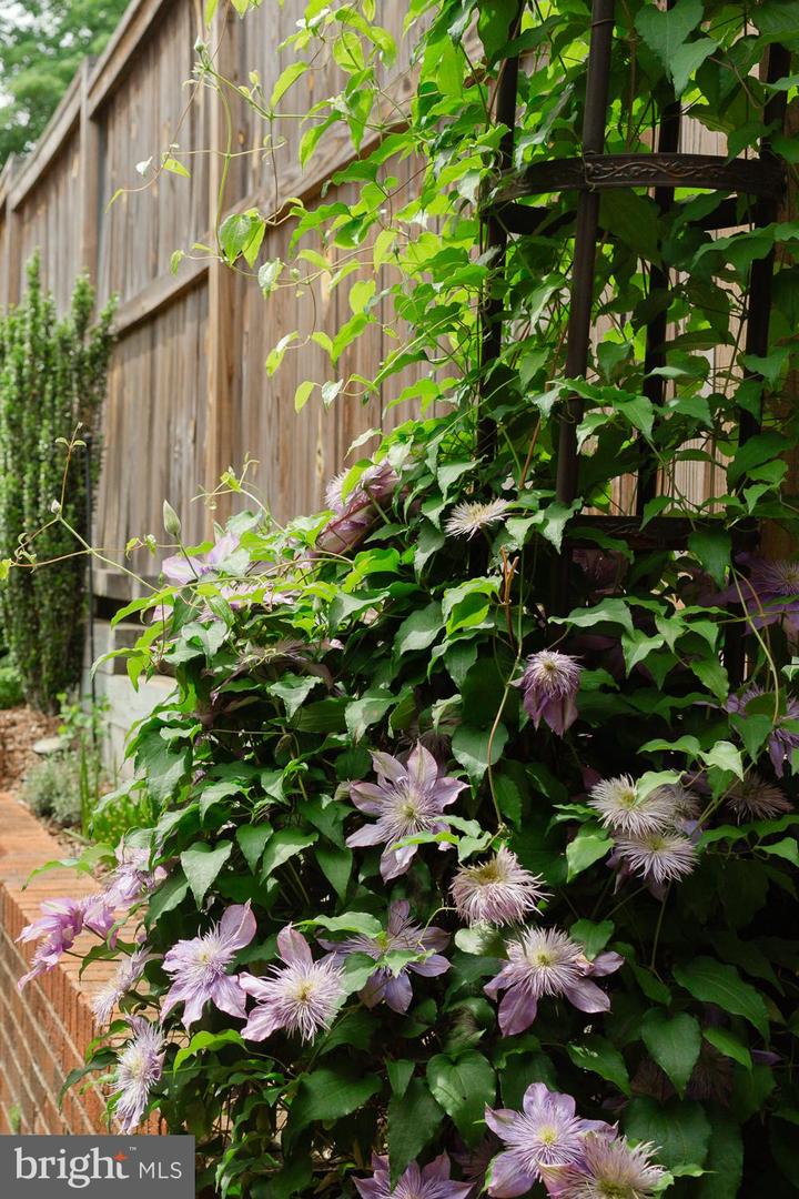 1755 UPSHUR ST NW, WASHINGTON, District Of Columbia 20011, 6 Bedrooms Bedrooms, ,4 BathroomsBathrooms,Residential,For sale,1755 UPSHUR ST NW,DCDC2247486 MLS # DCDC2247486